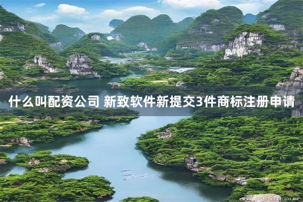 什么叫配资公司 新致软件新提交3件商标注册申请