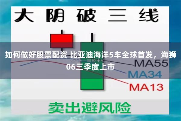 如何做好股票配资 比亚迪海洋5车全球首发，海狮06三季度上市