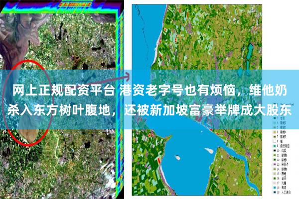 网上正规配资平台 港资老字号也有烦恼，维他奶杀入东方树叶腹地，还被新加坡富豪举牌成大股东
